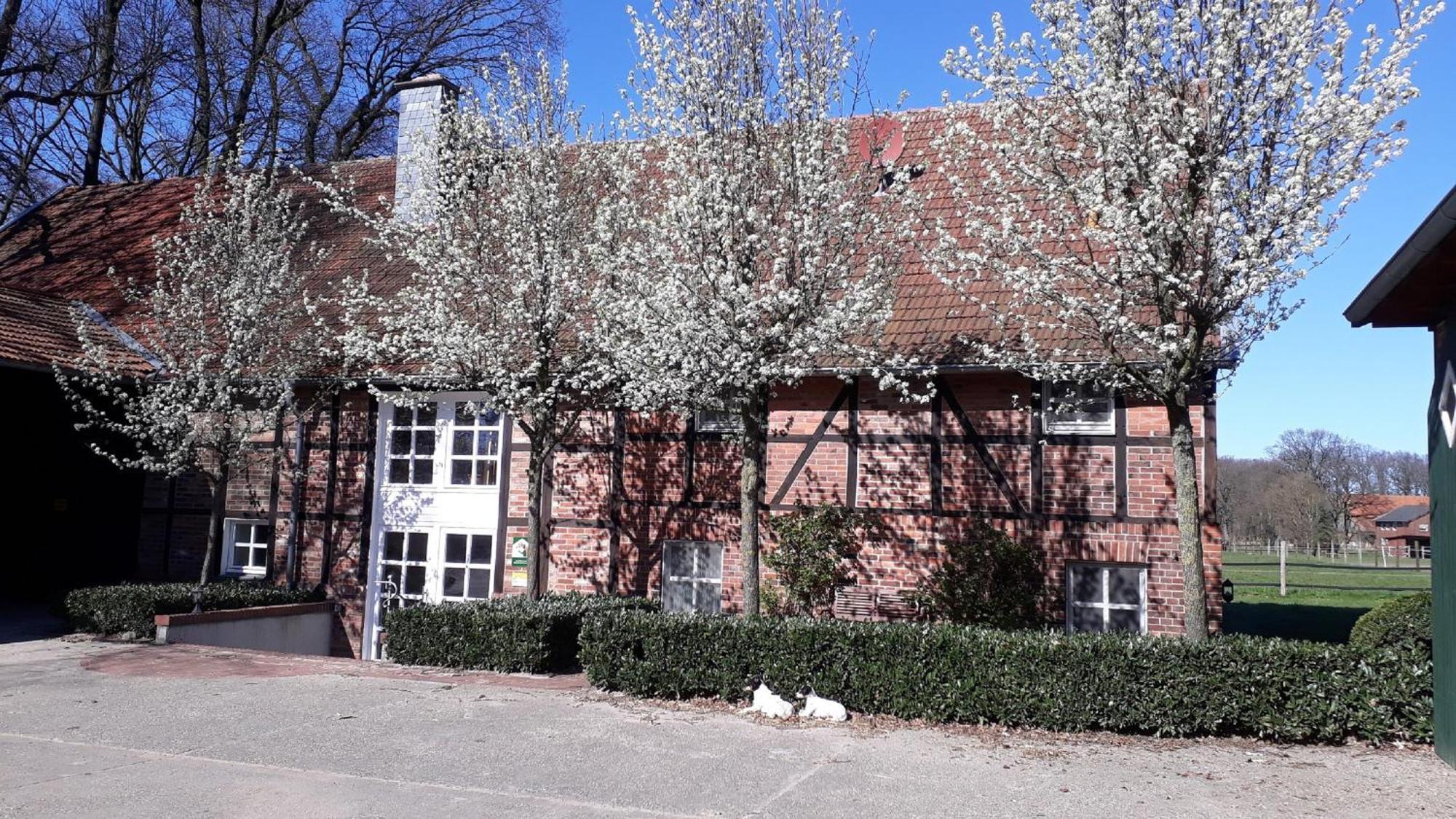 Landhaus Am Esch Warendorf Exteriör bild